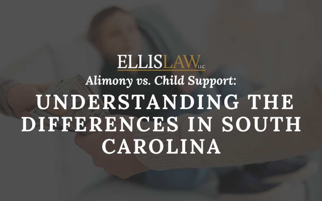 Alimony vs. Child Support: Understanding the Differences in South Carolina